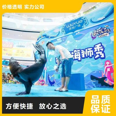 南安市分公司 專業(yè)出租表演鸚鵡，打造難忘動(dòng)物展覽體驗(yàn)